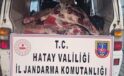 Hatay’da 1 Ton Kaçak Et Ele Geçirildi!
