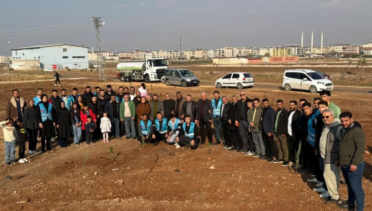 Ülkü Ocaklarından Başbuğ Türkeş’e Vefa: 108 Fidan Dikildi