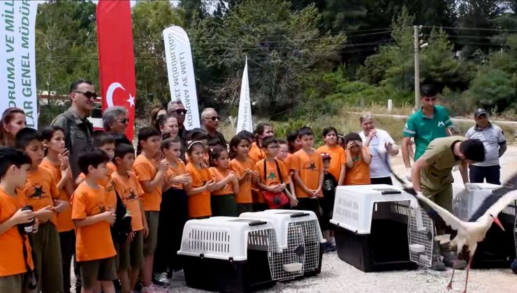 Yaban Hayvanları Yeniden Doğayla Buluştu