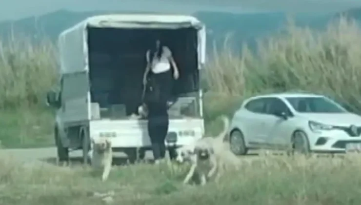 Samandağ Mileyha’ya Yavru Köpek Bırakan Şahıslara 540 Bin TL Ceza
